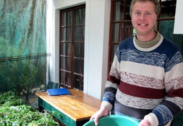 herbs3 herbs3